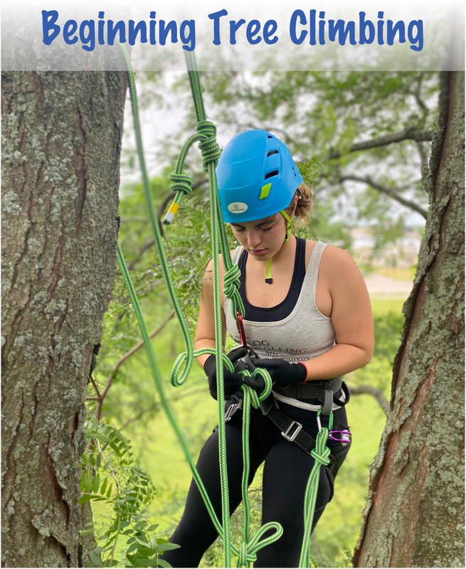 Climb trees with Moving Rope Systems - TREETOP EXPLORER