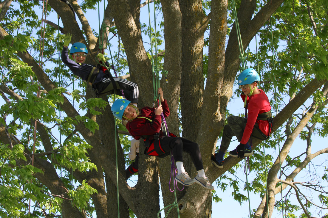 Technical Tree Climbing Moving Rope Systems (MRS) - North American
